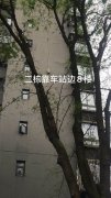 重庆外墙翻新——重庆外墙翻新维修公司【价格实惠】